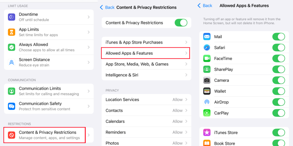 setup iPhone allowed apps & features
