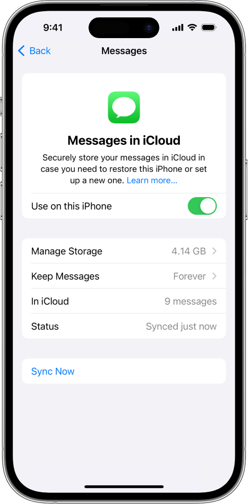 view messages in iCloud
