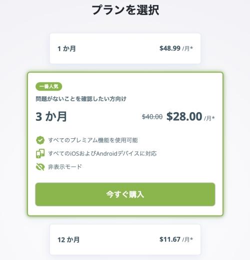 mSpyの購入